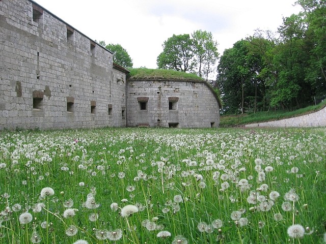 Festungsmuseum Fort Oberer Kuhberg, Frontgraben - linker Flankenturm